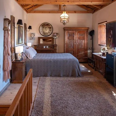 Casa Felicia-the Castle Mansion