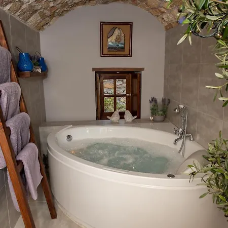 Casa Felicia-the Castle Mansion *